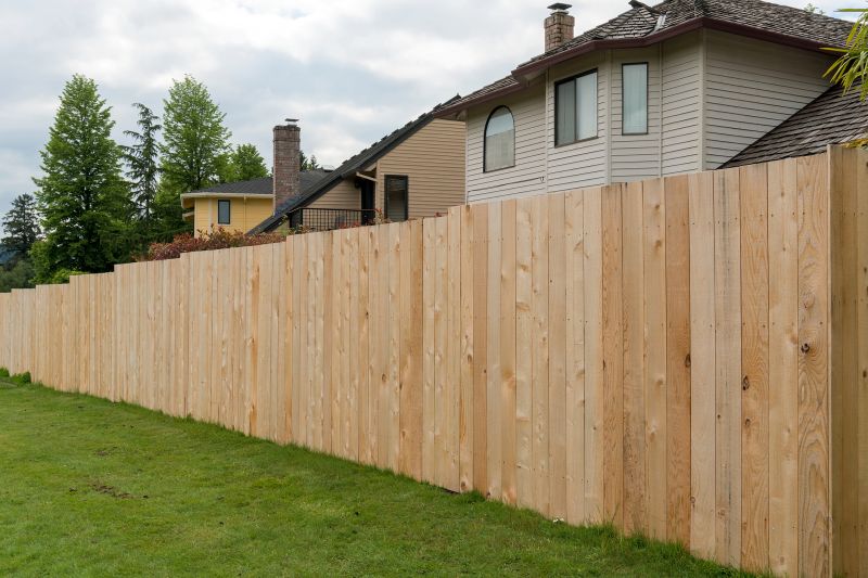 Residential Fence Painting